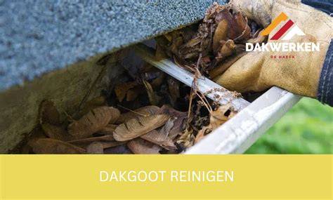 Dakgoot- en schoorsteenonderhoud infographic: werkwijze, kostenraming en veelvoorkomende verstoppingen