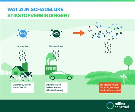 Infographic die de schade van vocht, zonlicht en schimmels aan hout illustreert.