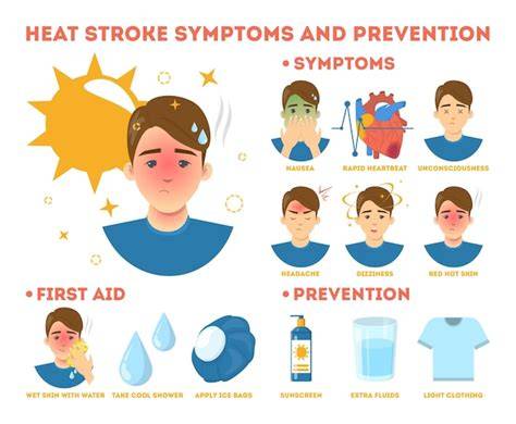 Infographic: Signalen van hitteberoerte en preventie op het dak