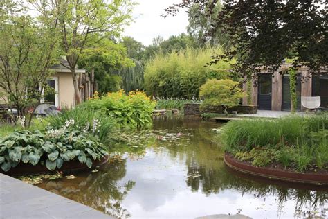groene oase in plaats van bestrating