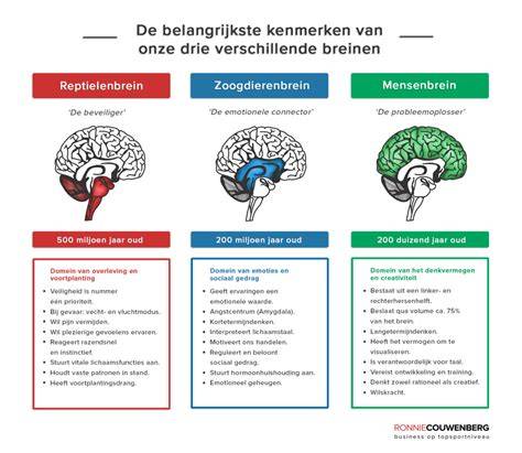 Infographic: overzichten van schuifdeurtypes en railsystemen