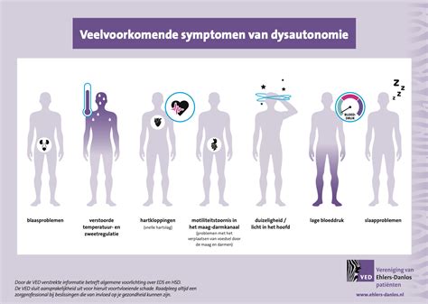 Infographic: veelvoorkomende afvoerproblemen en hun oorzaken