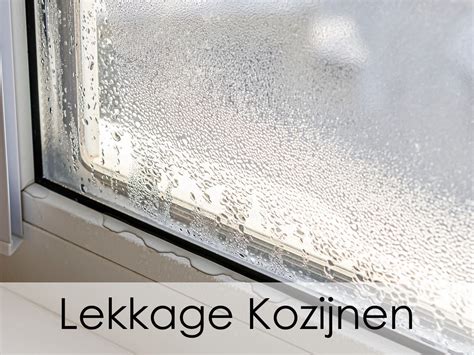 Diagram dat de mogelijke oorzaken van lekkage bij een kozijn visualiseert