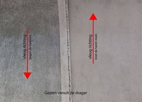 Infographic: Richting van de vleug en lichtreflectie op tapijt