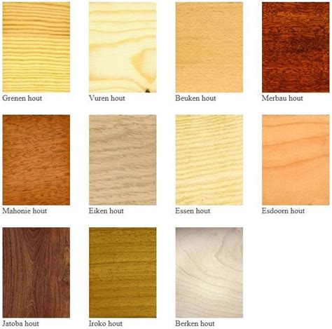 Infographic over soorten hout en onderhoudstappen