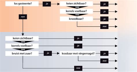 Infographic: soorten dakluiken en hun eigenschappen