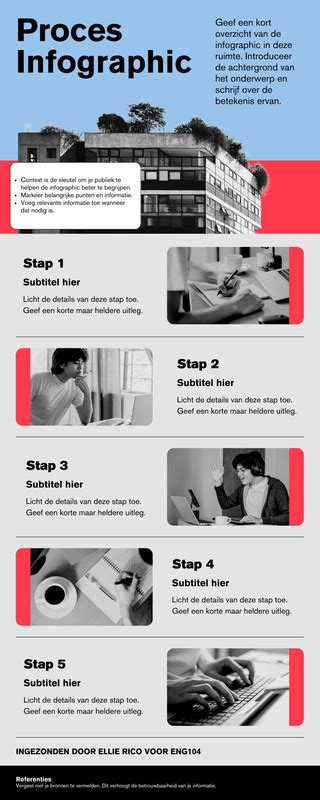 Infographic: Proces dakreiniging en nabehandeling