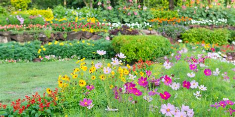 Voorbeelden van verschillende behangprints: bloemen, geometrisch, industrieel