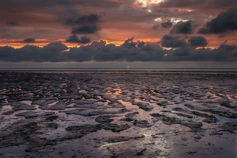 Mandø landschap en wad bij laagwater
