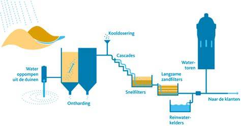 Infographic: Duinwaterwinning en zuiveringsproces van zeekwestie naar drinkwater