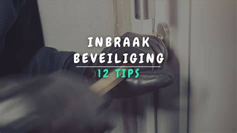 Infographic: Hoe een voordeur veilig te beveiligen tegen inbraak