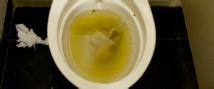 Illustratie van verschillende oorzaken van een verstopte wc, zoals een prop wc-papier, vochtige doekjes en vetophoping.