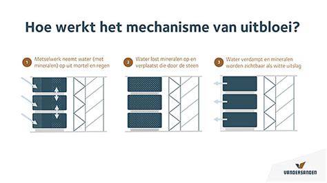 Infographic: Oorzaken van uitbloei en vergipsing, mechanismen en oplossingsrichtingen