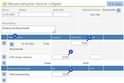 Infographic: overzicht huurproces bij Praxis (online kiezen -> ophalen bij winkel -> borg betalen -> terugbrengen -> borg terug)