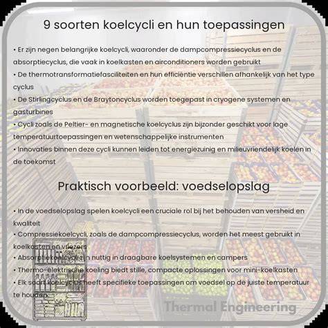 Infographic: Overzicht soorten boenmachines en hun toepassingen 13 inch, 16 inch en multi-koppen