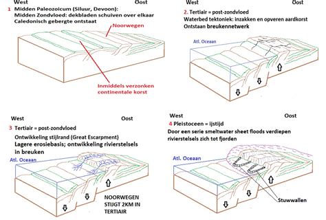 Infographic: Ontstaansgeschiedenis en verwerkingsketen van kadavers