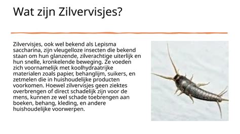 Zilvervisjes in badkamerillustratie