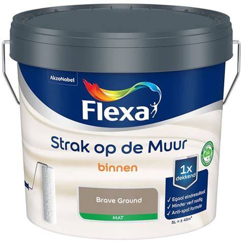 Infographic over Flexa Strak op de Muur eigenschappen en toepassingen