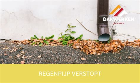 illustratie van een verstopte regenpijp met bladeren