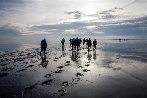 Fotogalerij: Waddeneilanden en wadlopen