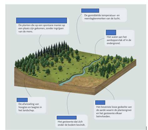 Foto: voorbeeld van lagen en 3D-tekst in Paint 3D
