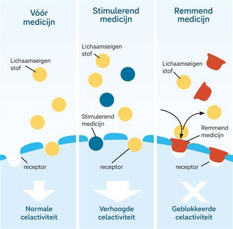 Diagram: werking van de Ethos-therapie en scanners