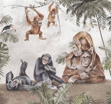illustratie van apen behang: jungle sfeer op kinderkamer