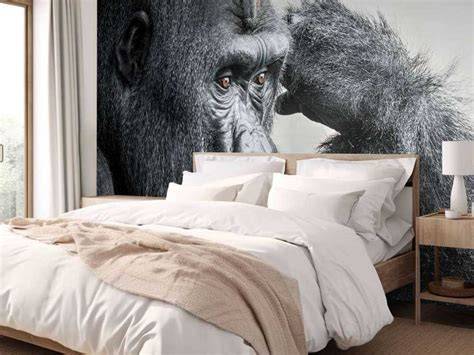 foto: gorilla fotobehang in zwart-wit