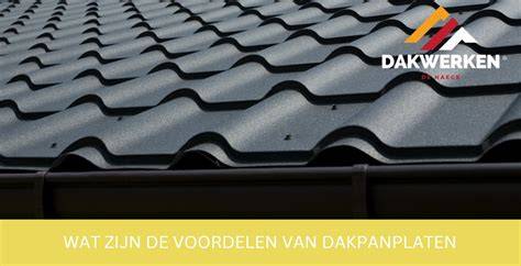 Infographic: Overzicht dakpanplaten, materialen en voordelen