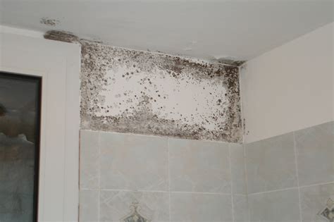 Badkamer met schimmel op de kitrand