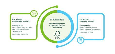 Infographic: Duurzaamheidslabels laminaat (FSC, PEFC, EU Ecolabel, Emissies A+)