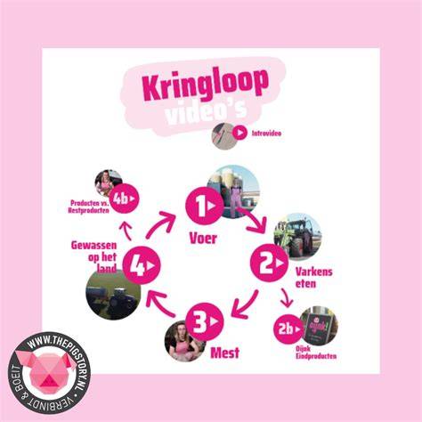 Infographic: Recycleproces HDF-laminaat en kringloop