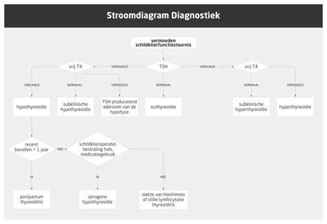 Flowchart: diagnostiek en behandelopties bij liquorhypotensiesyndroom