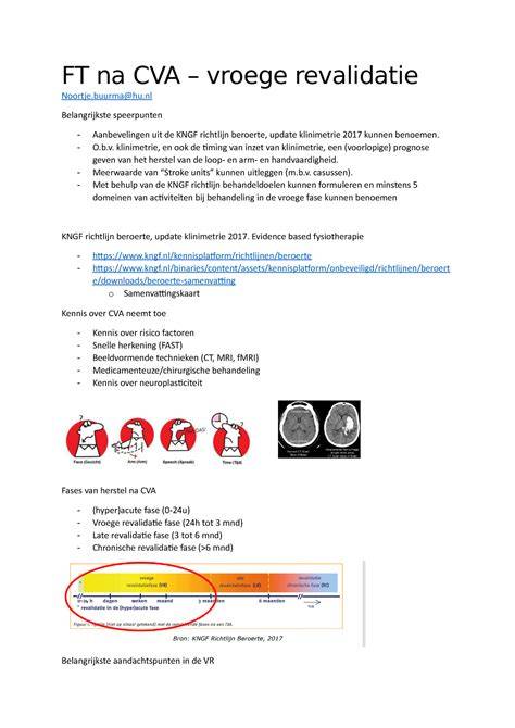 Flowdiagram neurorevalidatieproces na CVA