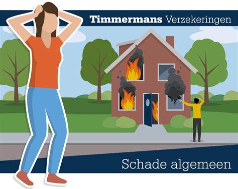 Infographic over verzekeringsdekking bij stormschade aan schuttingen: opstalverzekering vs inboedel en huurdersbelang