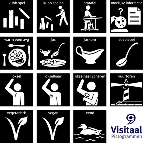 pictogrammen voor ontvlambaarheid en oogbeschadiging