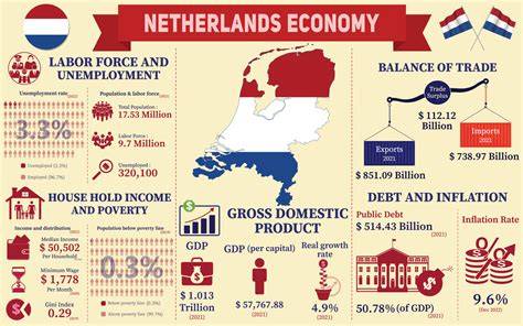Statistische infographic: Verdeling van douchekoppen in Nederlandse badkamers