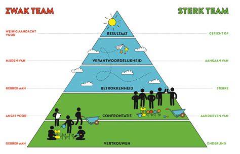 Infographic: samenwerking vast team en projectcoördinatie
