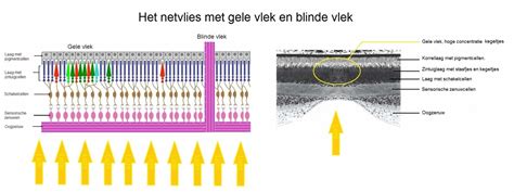 Schematische voorstelling: drie lagen deuropbouw (butylmat + schuim + absorptie)