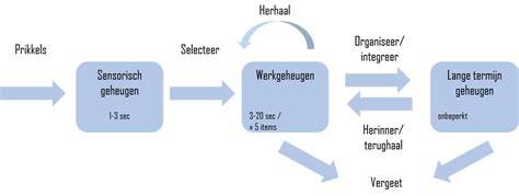 Schematische weergave: stap-voor-stap tegelzetwerk en benodigdheden