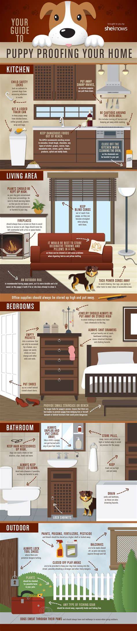 Infographic: Puppy-proofing your home with laminate floors