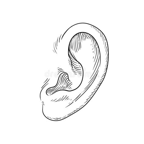 Gedetailleerde illustratie van het aanbrengen van behangpanelen