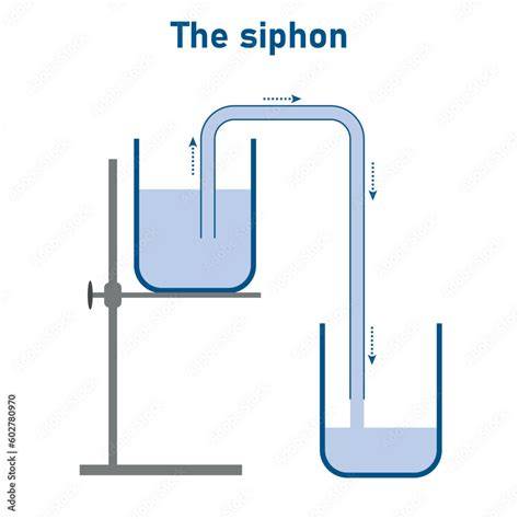 Diagram: Dryphon vs traditioneel sifon
