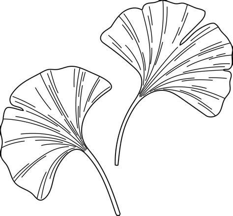 Foto: Voorbeelden van Structured Leaves en Ginkgo dessin