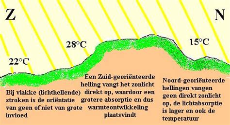 Infographic: Belangrijke factoren voor koffieteelt (hoogte, temperatuur, neerslag, bodem, schaduw)