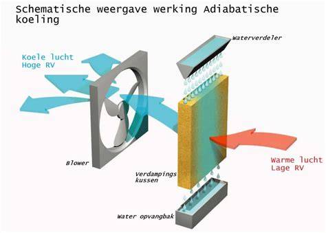 Graphic: verdamping koeling sedumdak (conceptueel diagram)