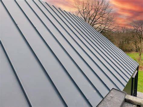 Geïsoleerde felsdak met zinkmotief - Vieo 1050 Roof