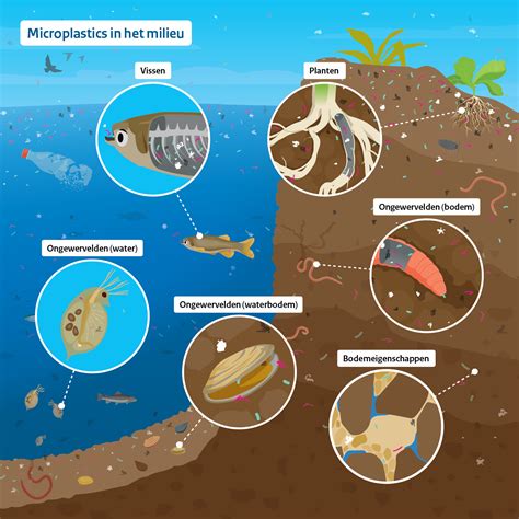 Visualisatie van de impact van microplastics uit EPS op het milieu.
