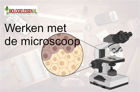 Illustratie van een kattenoor met oormijten onder de microscoop.