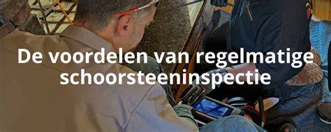 Diagram: redenen voor regelmatige schoorsteeninspectie